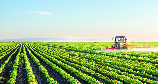 汇鑫集群的生态农旅规划 汇鑫集群的生态农旅规划